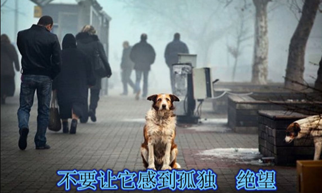 湘潭湘潭爱影圈微博微信转发案例